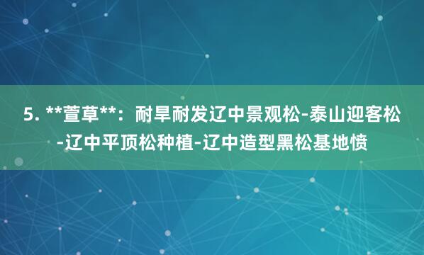 5. **萱草**：耐旱耐发辽中景观松-泰山迎客松-辽中平顶松种植-辽中造型黑松基地愤