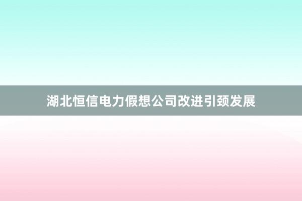 湖北恒信电力假想公司改进引颈发展