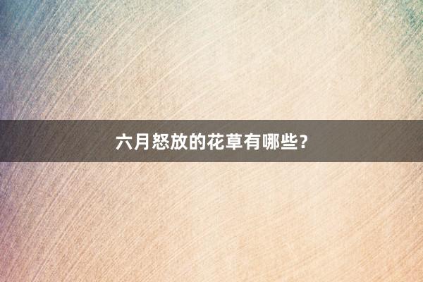 六月怒放的花草有哪些？