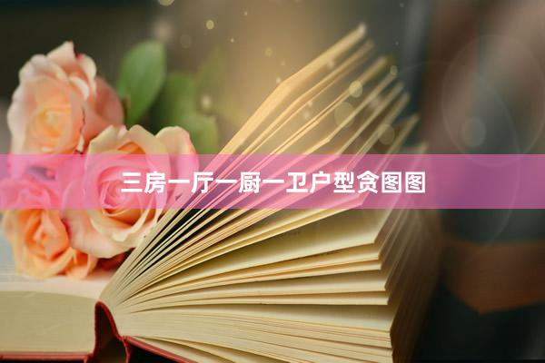 三房一厅一厨一卫户型贪图图